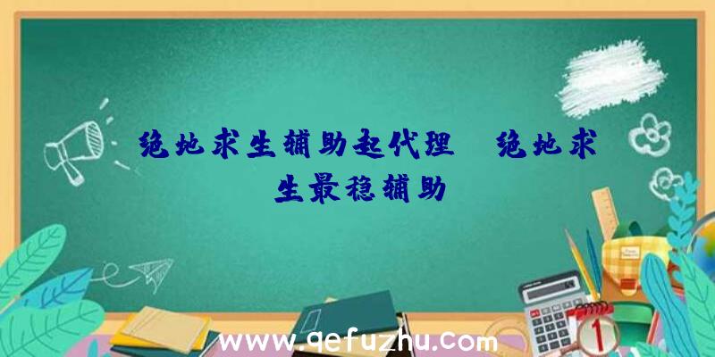 「绝地求生辅助起代理」|绝地求生最稳辅助